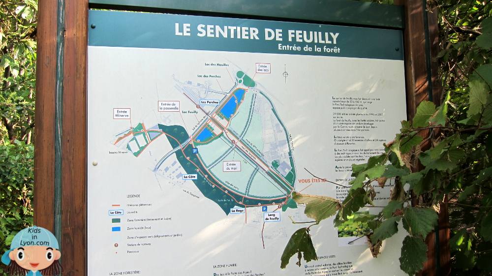 plan forêt Feuilly Saint-Priest